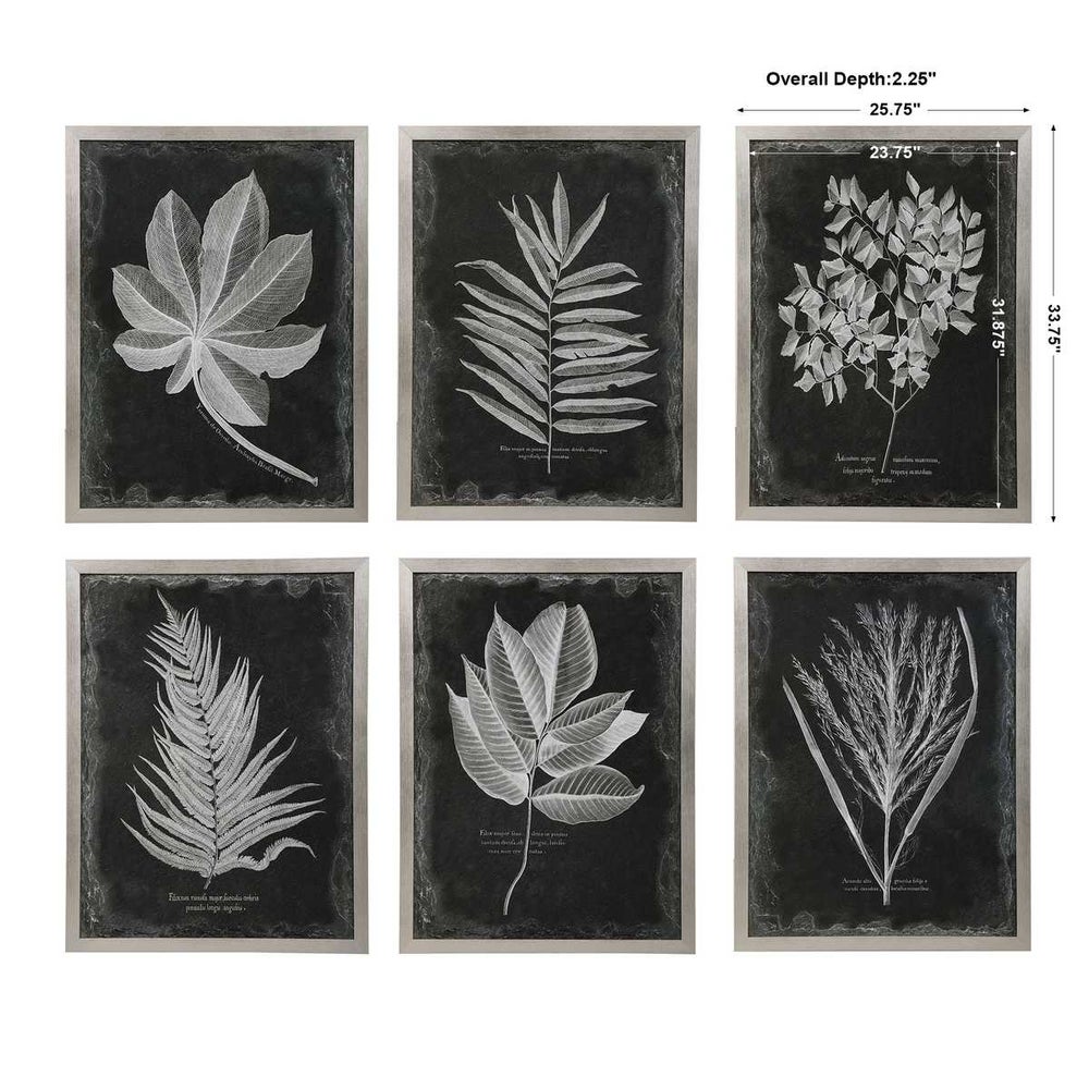 Foliage Framed Prints, Set/6