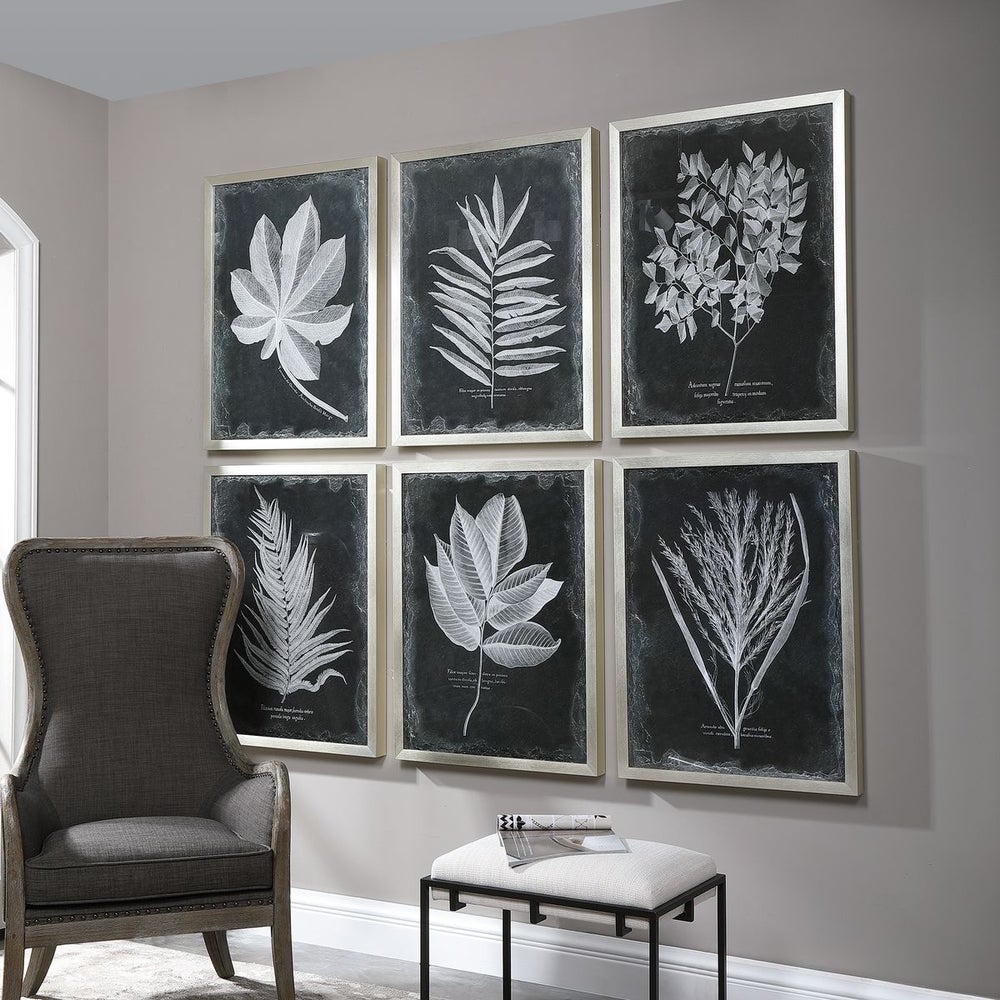 Foliage Framed Prints, Set/6
