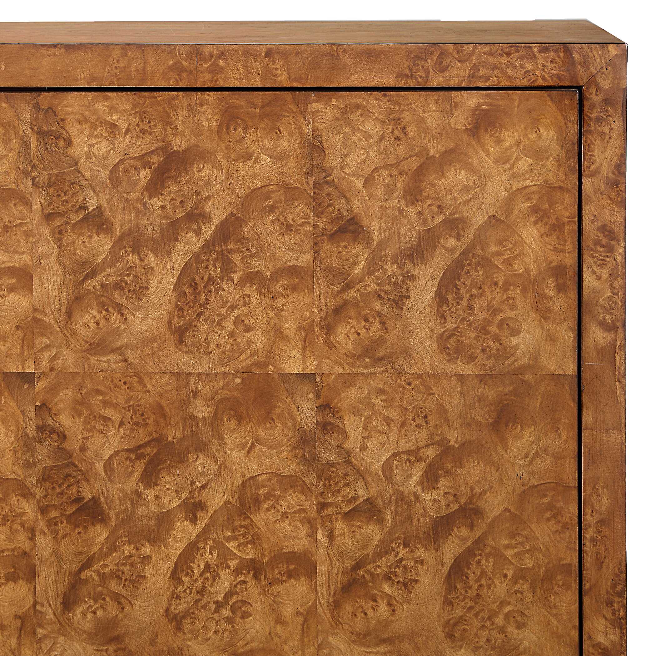 Jethro Burl 2 Door Cabinet