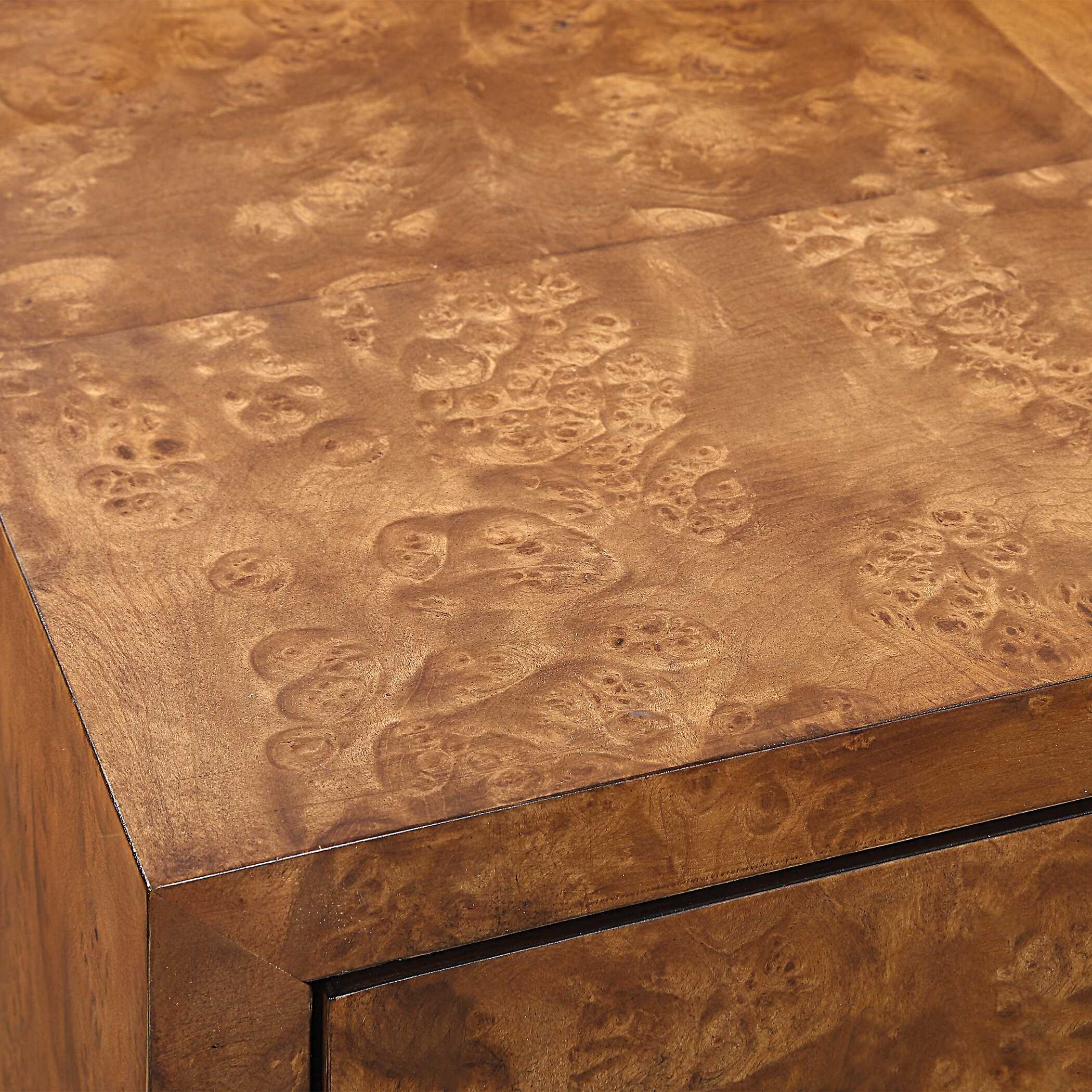 Jethro Burl 2 Door Cabinet