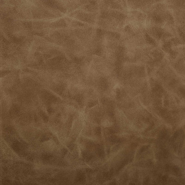 Conifer Camel Dining Armchair - Chairs