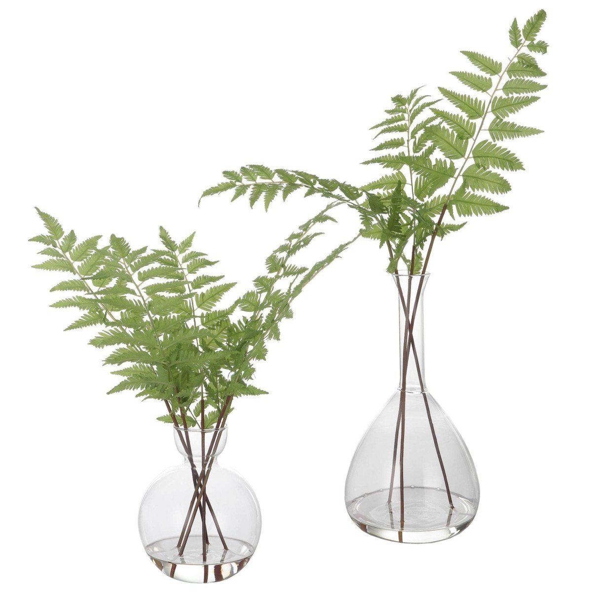 Country Ferns, S/2 - Uttermost - Artificial Flora by Modest Hut