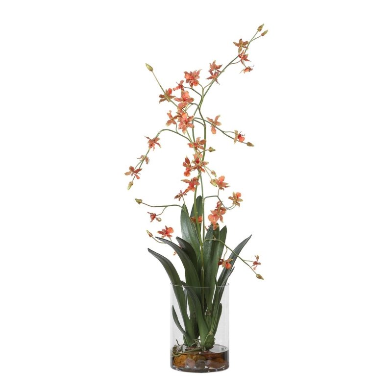 Alternate product view of the Dancing Orchid orchid arrangement