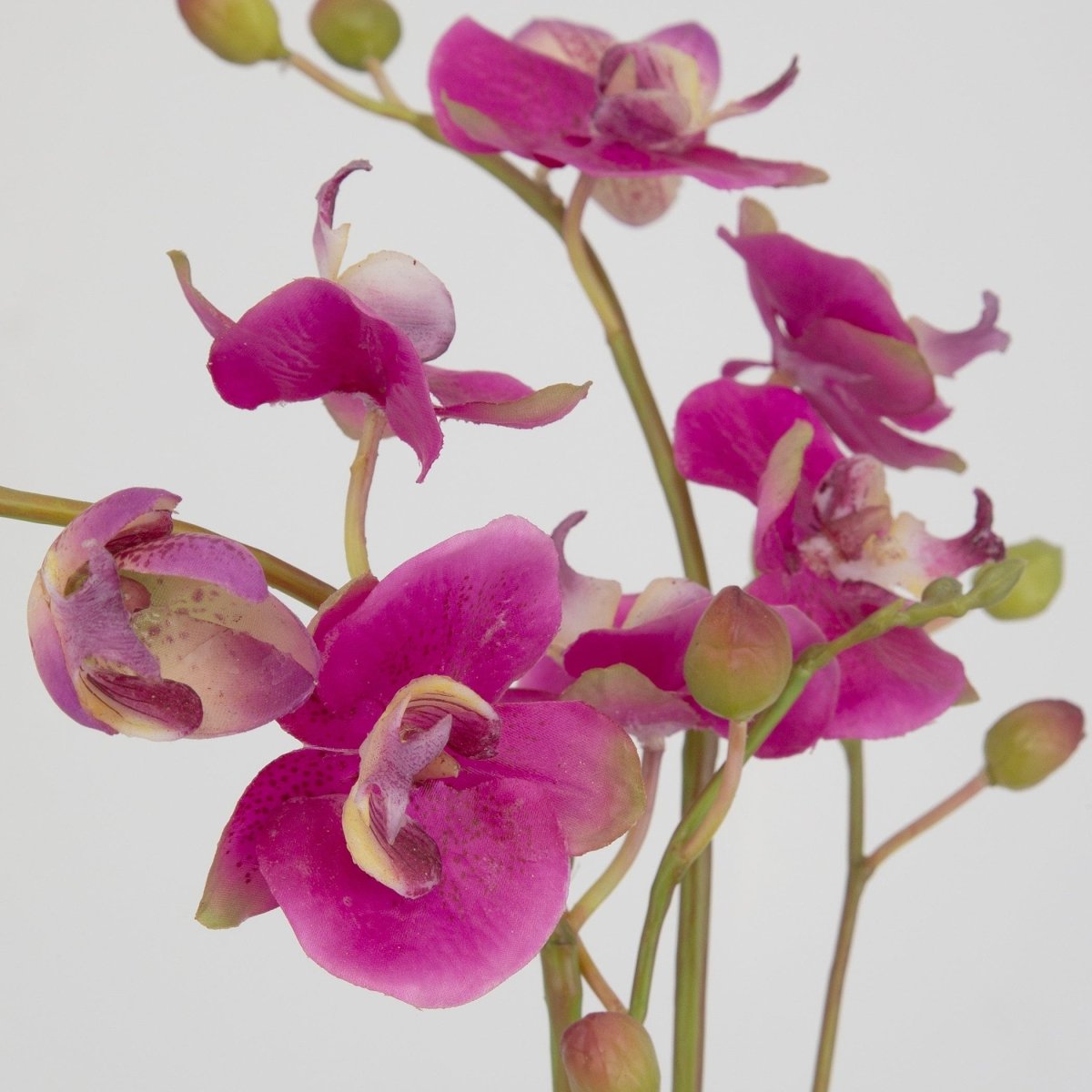 Glory Fuchsia Orchid - Uttermost - Artificial Flora by Modest Hut