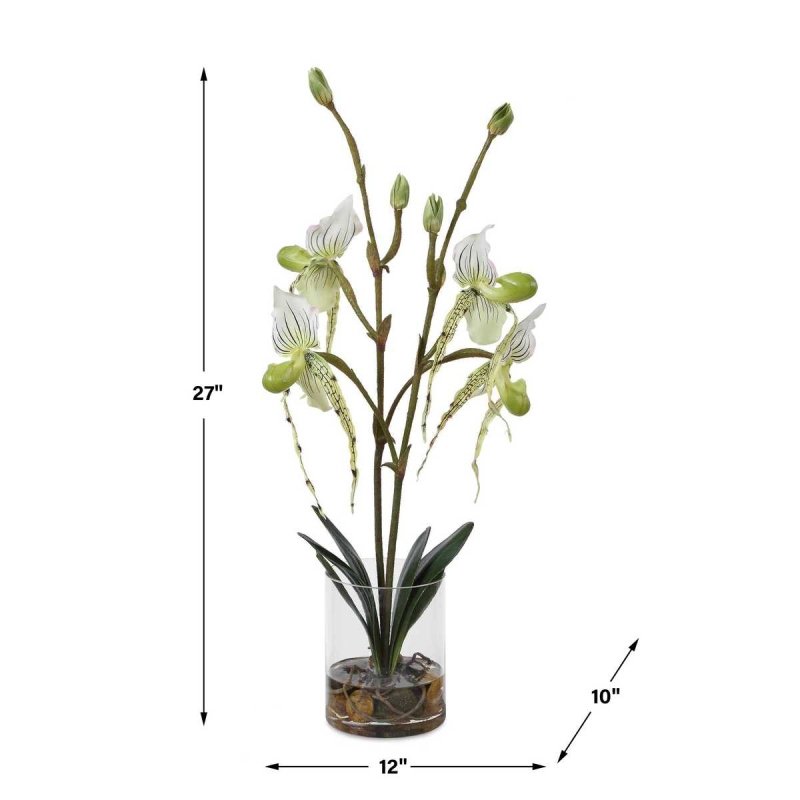 Dimension guide for the Lady Slipper White Orchid Arrangement