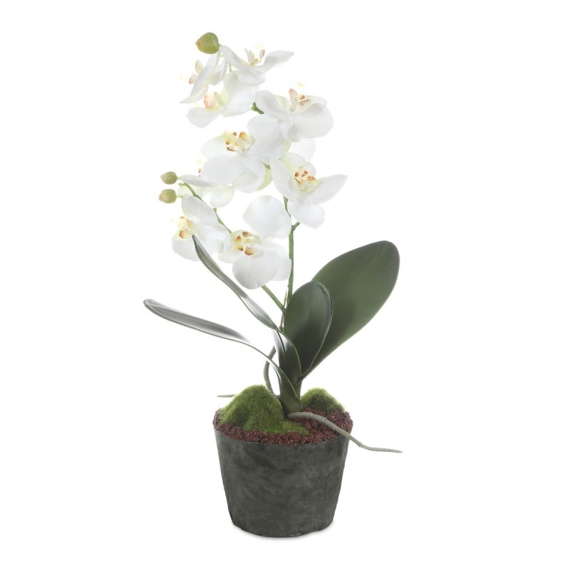 Alternate angle of the Laris White Orchid Drop-In by Uttermost