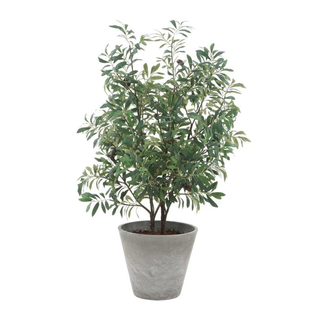 Marisol Potted Olive Plant - Artificial Flora