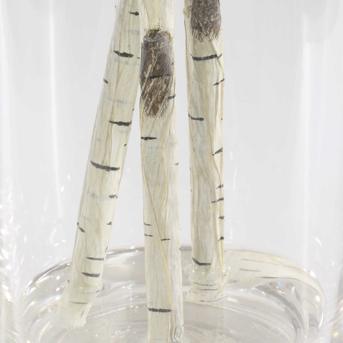 Nigra Birch Vase Centerpiece - Uttermost - Artificial Flora by Modest Hut