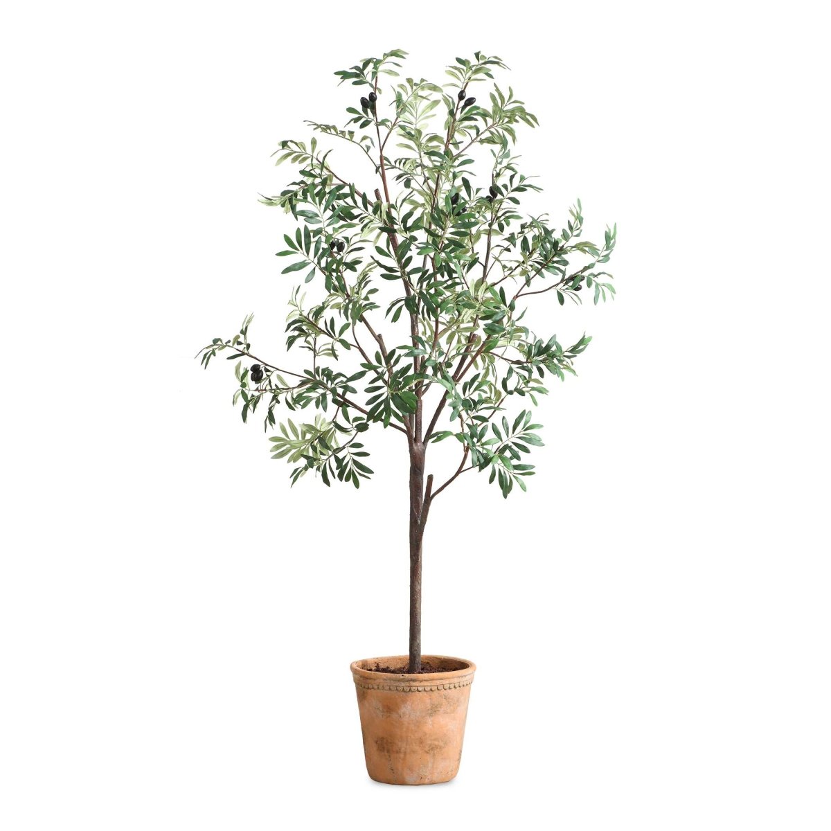 Olea Potted Olive Tree - Uttermost - Artificial Flora by Modest Hut