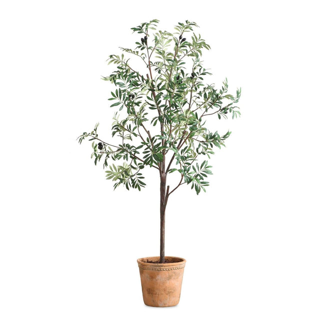 Olea Potted Olive Tree - Uttermost - Artificial Flora by Modest Hut
