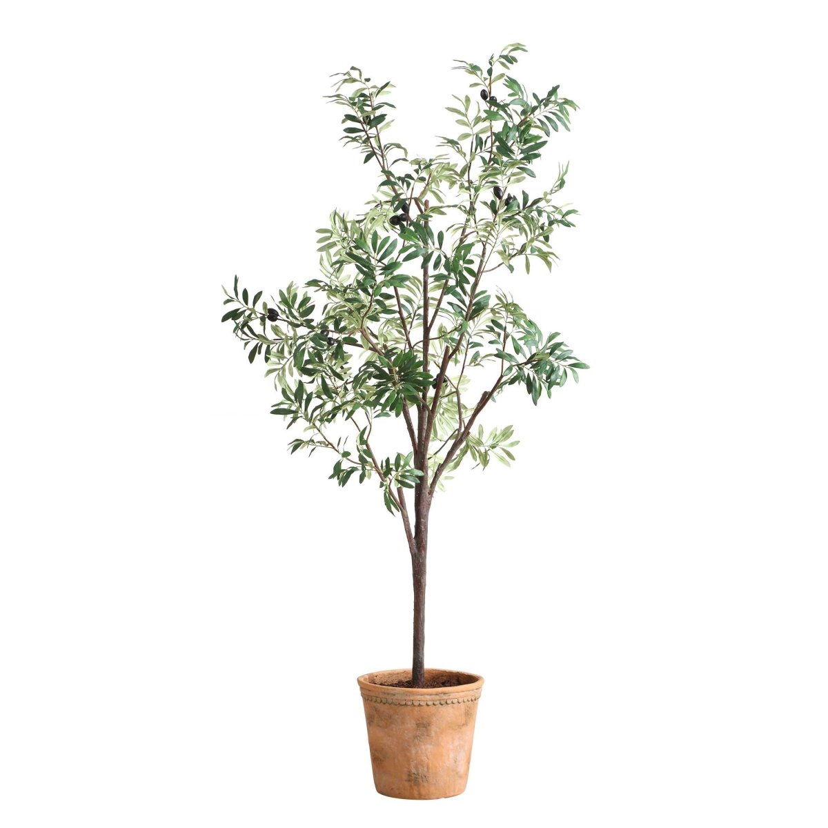 Olea Potted Olive Tree - Uttermost - Artificial Flora by Modest Hut