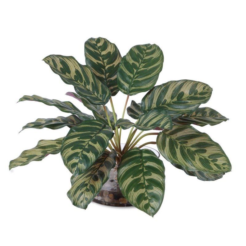 Alternate angle of the Peacock Plant Glass Accent by Uttermost