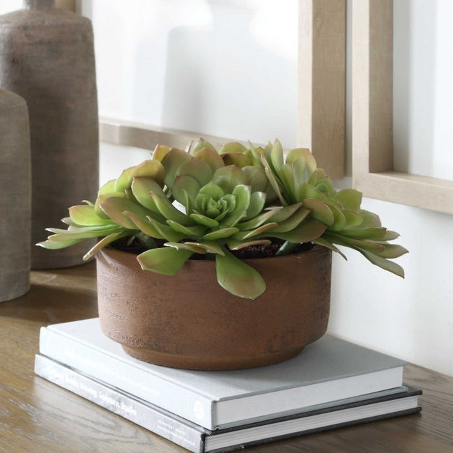 Sable Succulent Accent In Pot - Artificial Flora