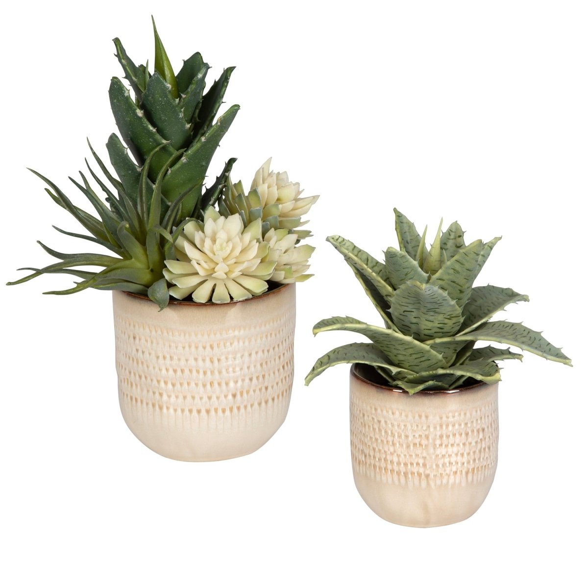 Seaside Succulents, Set/2 - Uttermost - Artificial Flora by Modest Hut