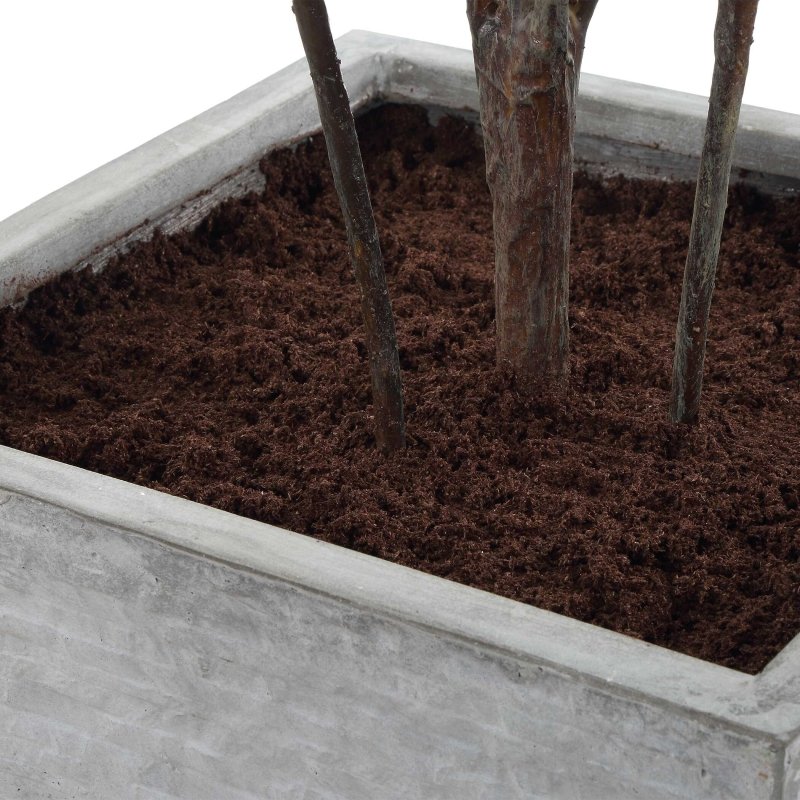 Sonora Olive Tree In Planter - Artificial Flora