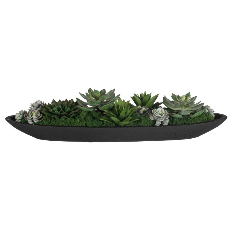 Uttermost Verde succulent centerpiece wide front view on white background