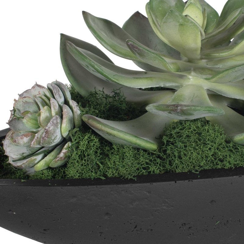 Close-up of Uttermost Verde succulents and moss on container edge