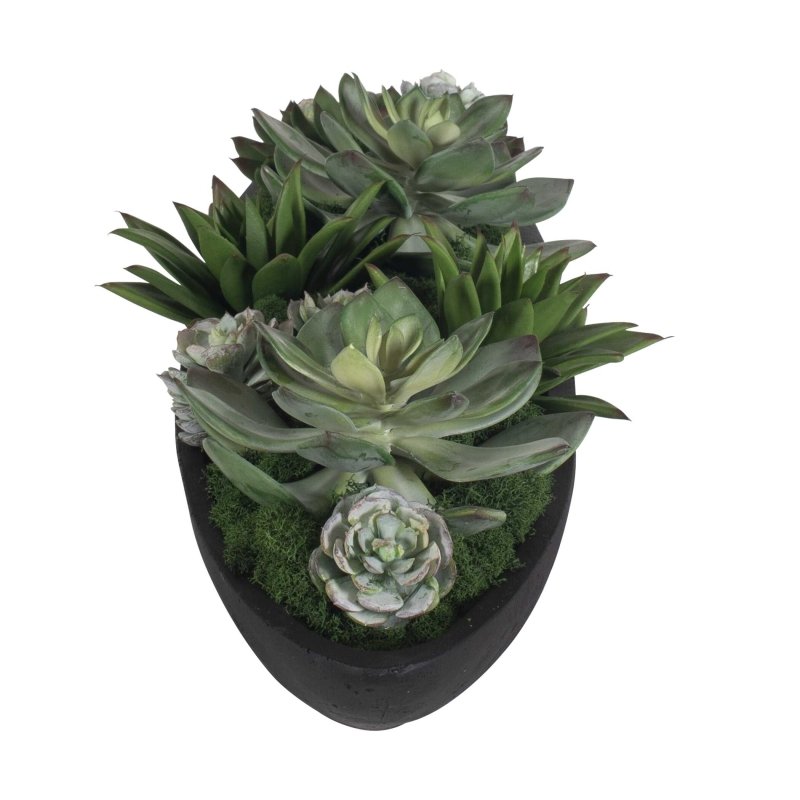 Uttermost Verde succulent arrangement top view with reindeer moss