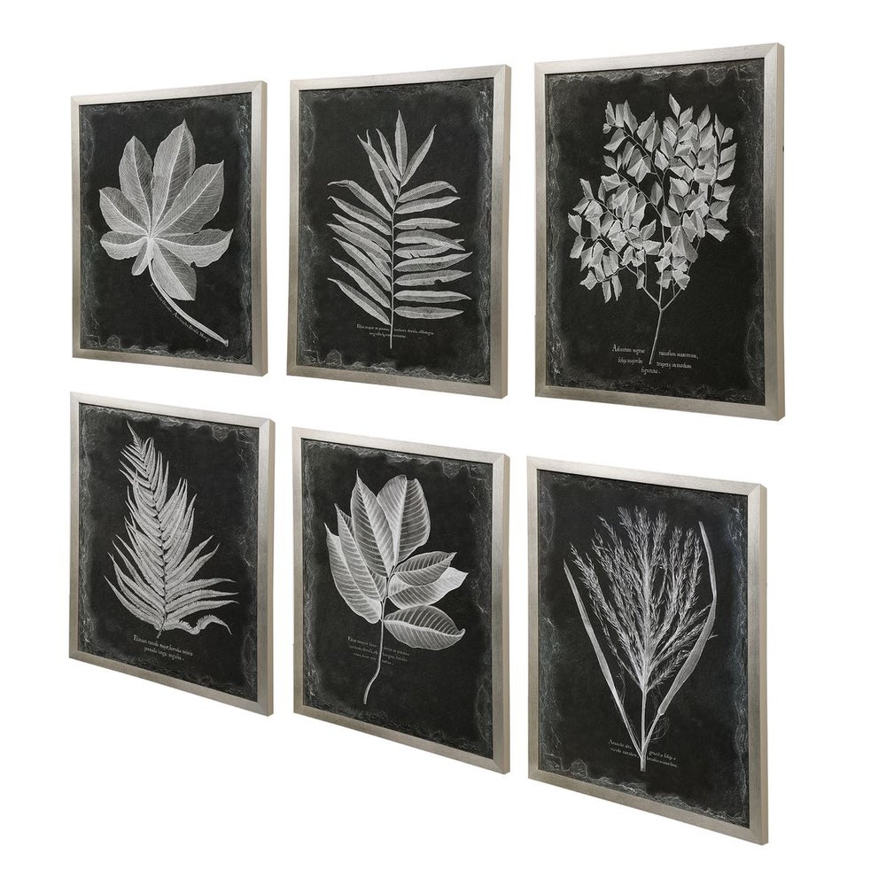 Foliage Framed Prints, Set/6