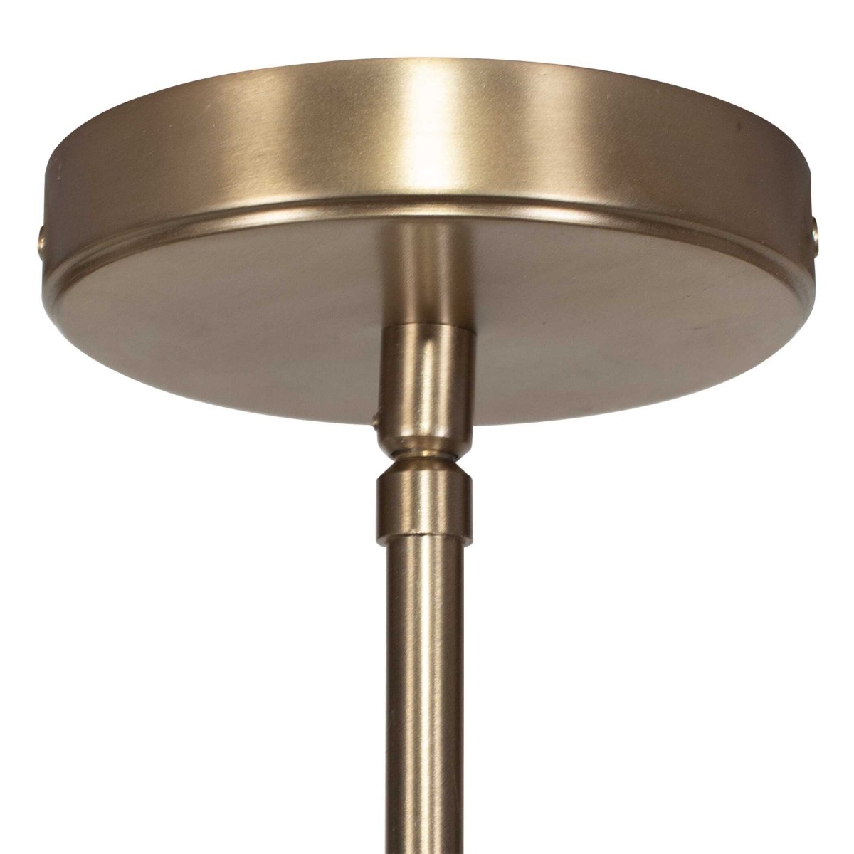 Rhea 4 Light Wood Branch Chandelier - Uttermost - Chandeliers by Modest Hut