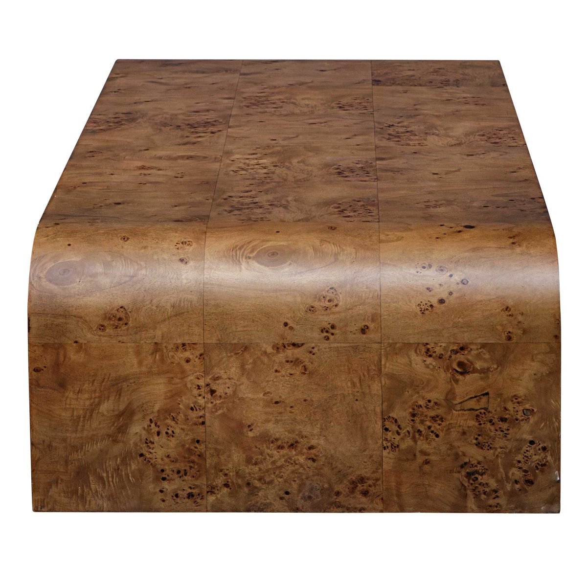 Carraway Burl Wood Coffee Table - Uttermost - Coffee Tables by Modest Hut