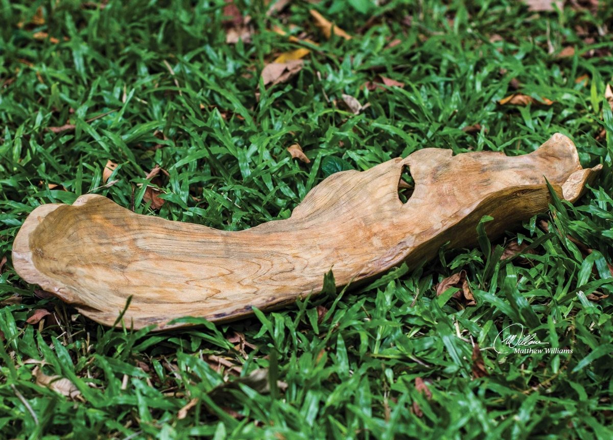 Natural Teak Leaf Bowl - Uttermost - Decorative Bowls by Modest Hut