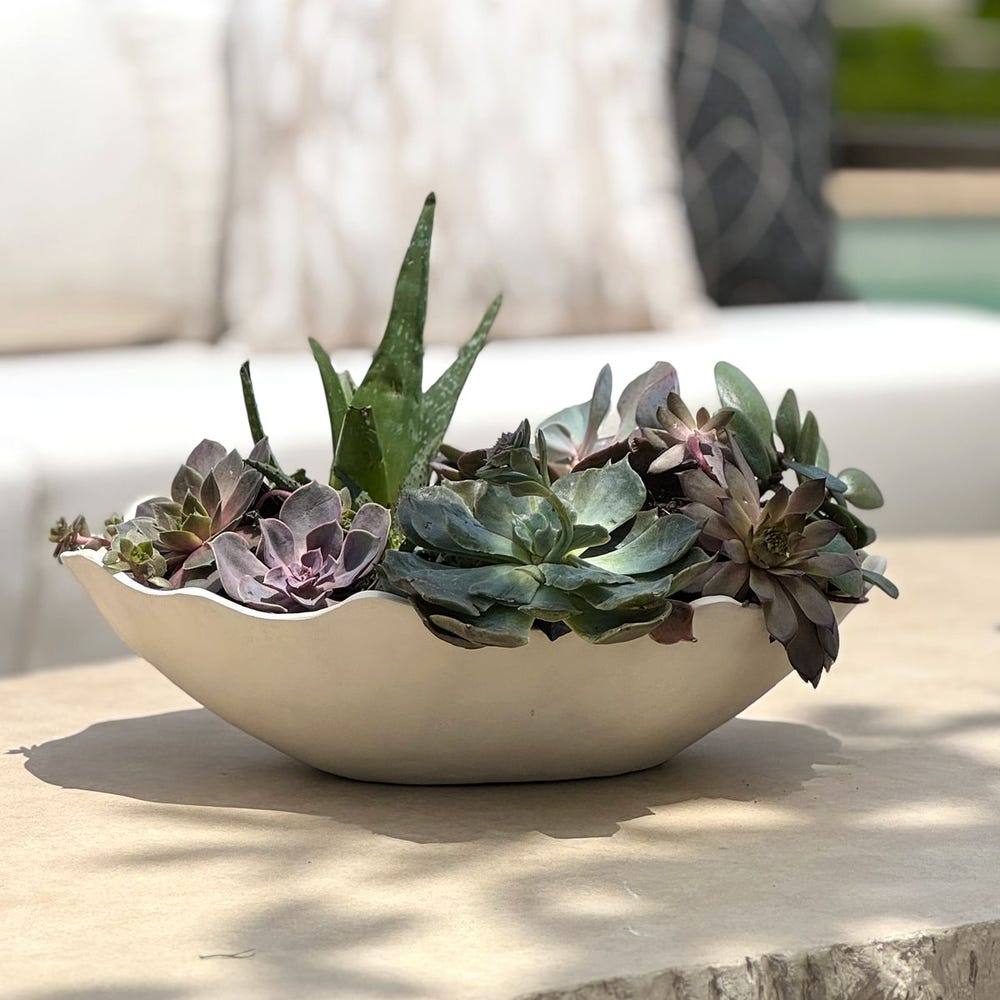 Obscura Outdoor Bowl, Warm White - Uttermost - Decorative Bowls by Modest Hut