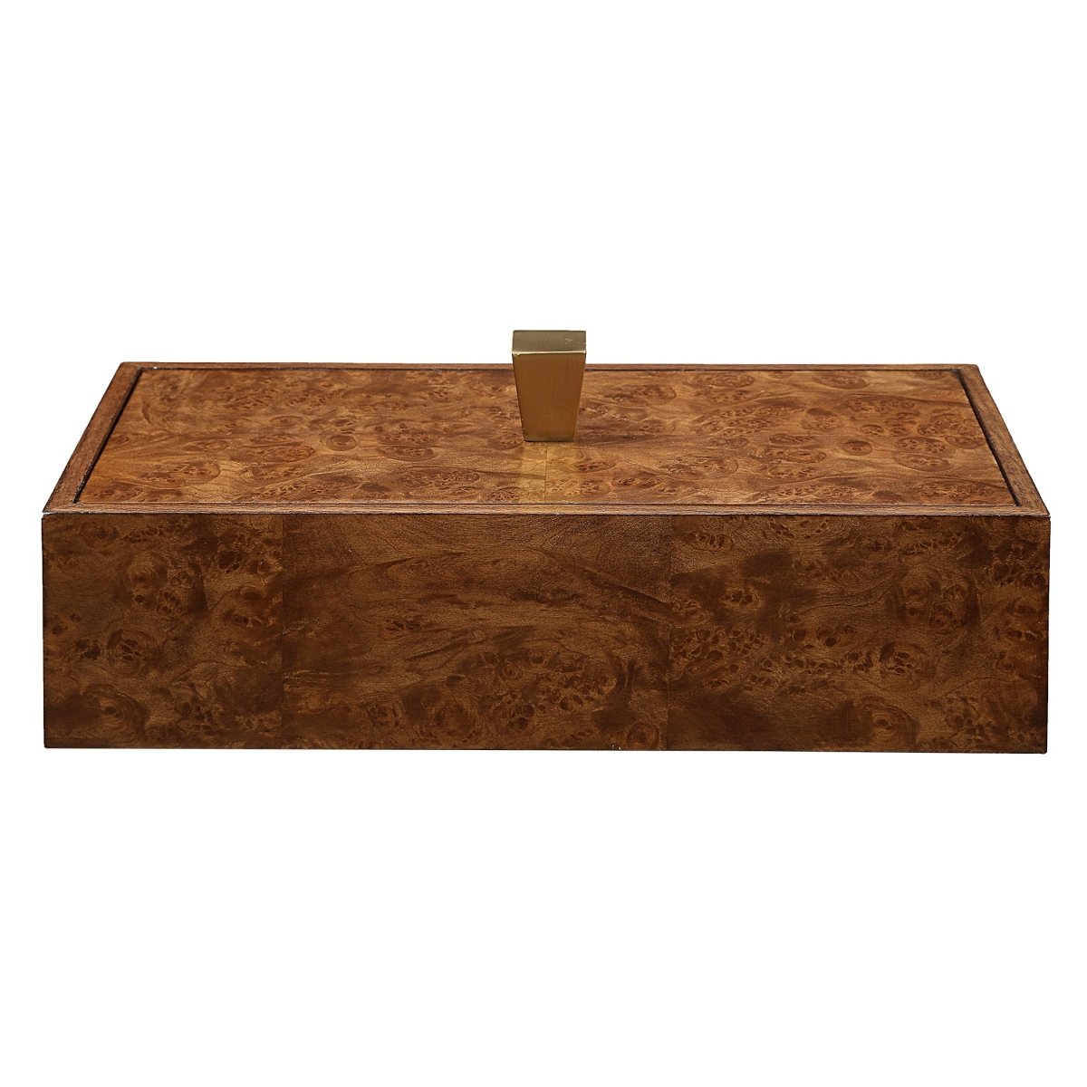 Burl Haven Box - Uttermost - Decorative Boxes by Modest Hut
