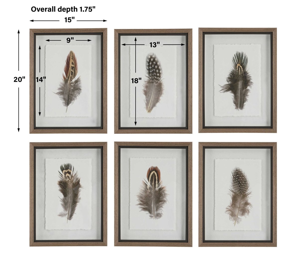Birds of a Feather Framed Prints (S/6) - Uttermost - Framed Prints by Modest Hut