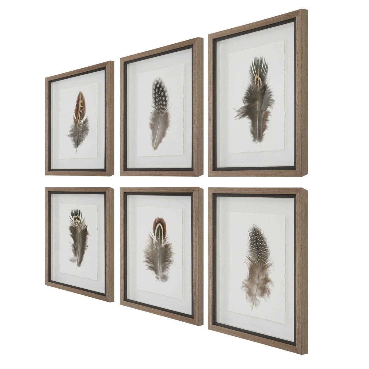Birds of a Feather Framed Prints (S/6) - Uttermost - Framed Prints by Modest Hut