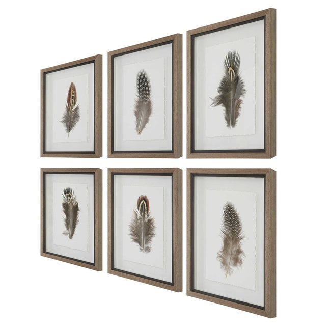 Birds of a Feather Framed Prints (S/6) - Uttermost - Framed Prints by Modest Hut