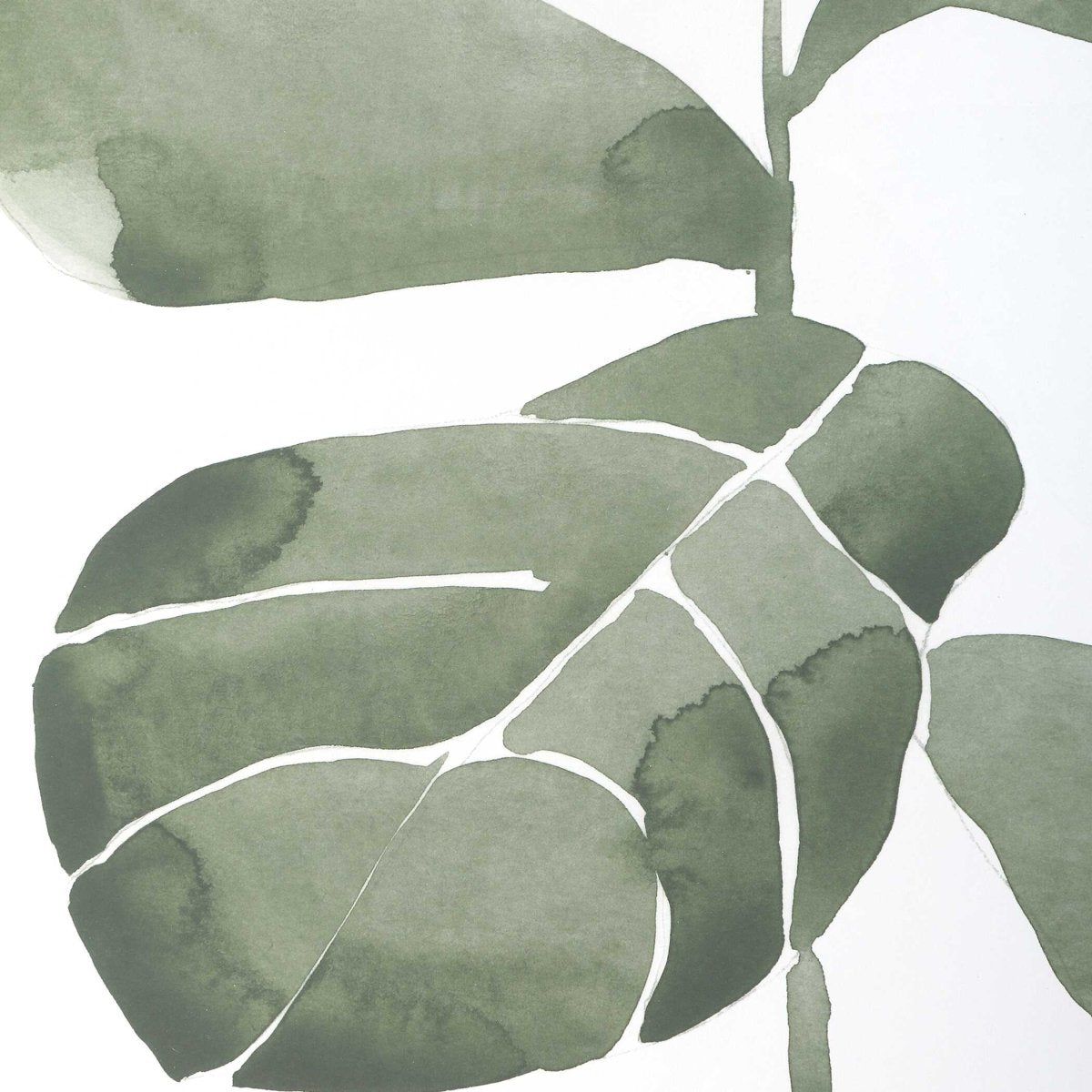 Fiddle Head Leaf Botanical Prints Set/4 - Uttermost - Framed Prints by Modest Hut