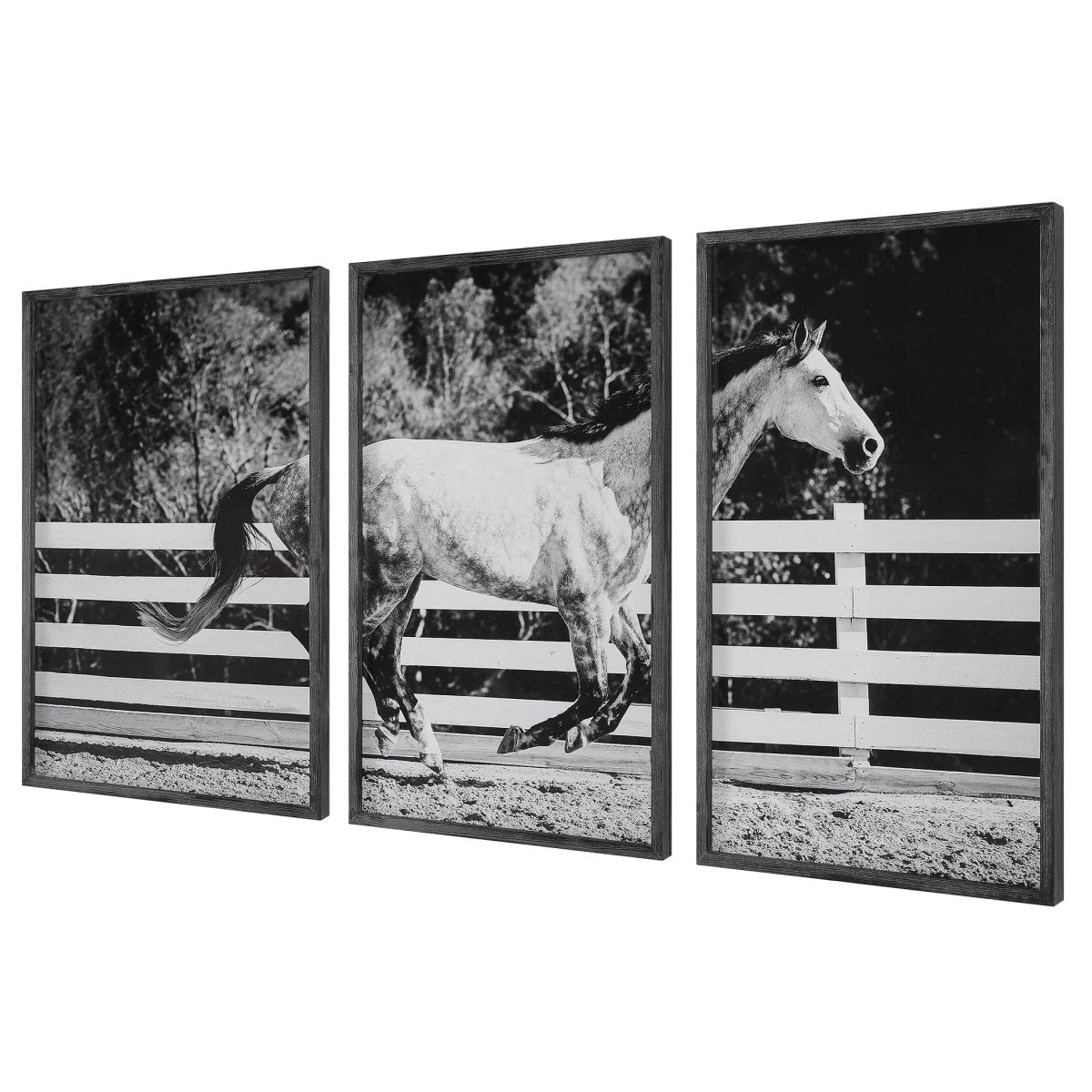 Galloping Forward Equine Prints, Set/3 - Uttermost - Framed Prints by Modest Hut