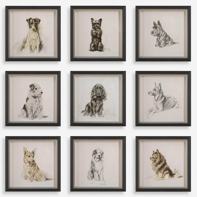 Loyal Companion Framed Dog Prints, S/9 - Uttermost - Framed Prints by Modest Hut