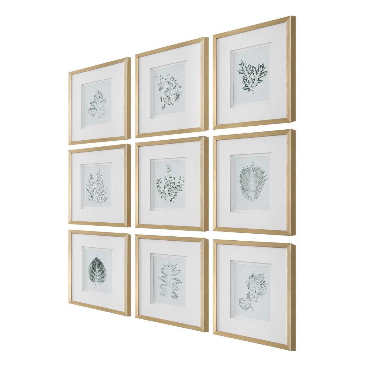 Nature's Script Framed Botanical Prints Set/9 - Uttermost - Framed Prints by Modest Hut
