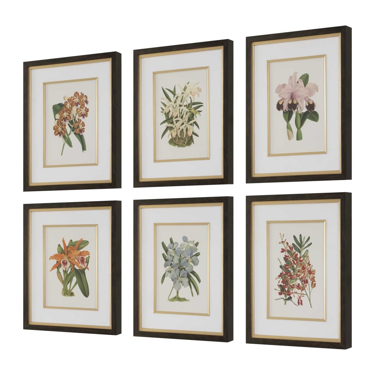 Orchid Botanical Framed Prints Set/6 - Uttermost - Framed Prints by Modest Hut
