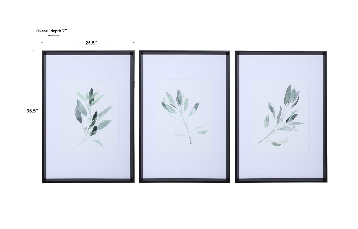 Simple Sage Watercolor Prints, S/3 - Uttermost - Framed Prints by Modest Hut