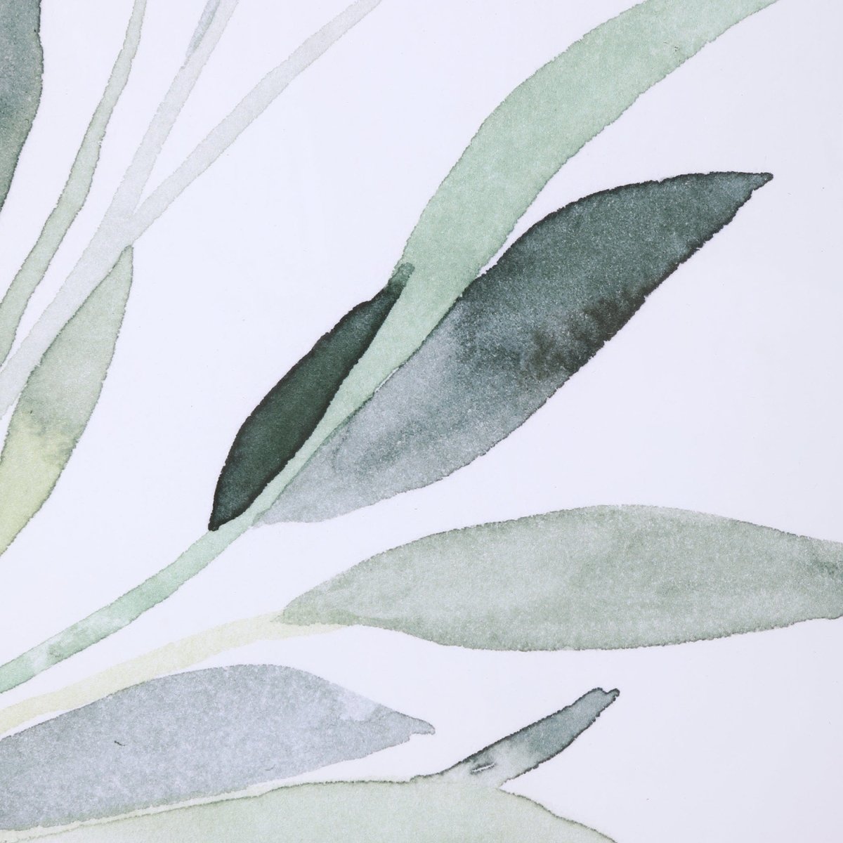 Simple Sage Watercolor Prints, S/3 - Uttermost - Framed Prints by Modest Hut