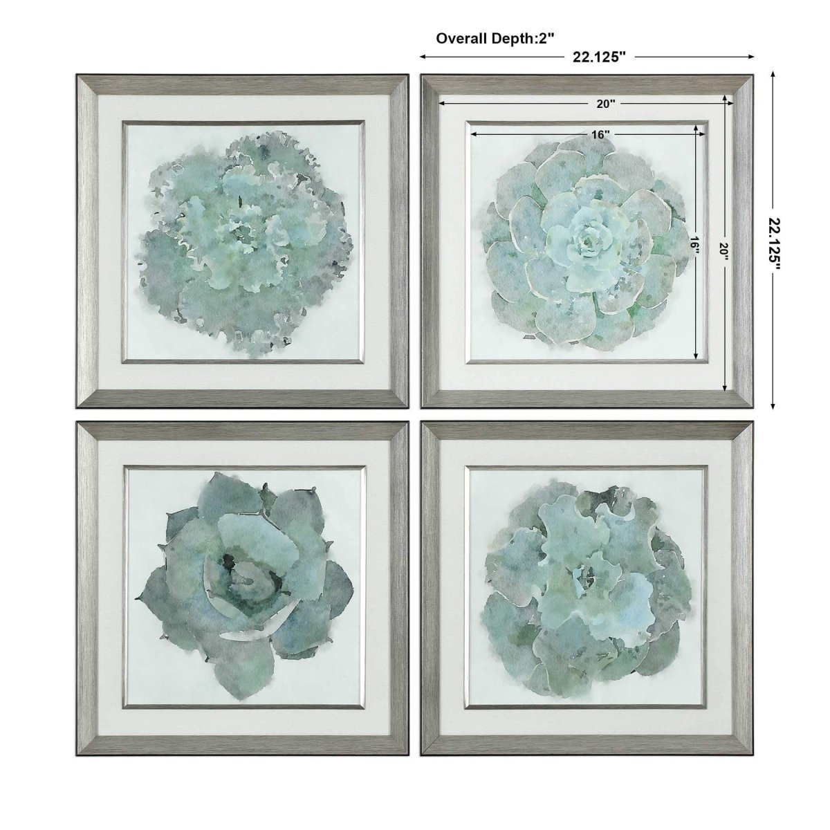 Succulent Framed Prints (S/2) - Uttermost - Framed Prints by Modest Hut