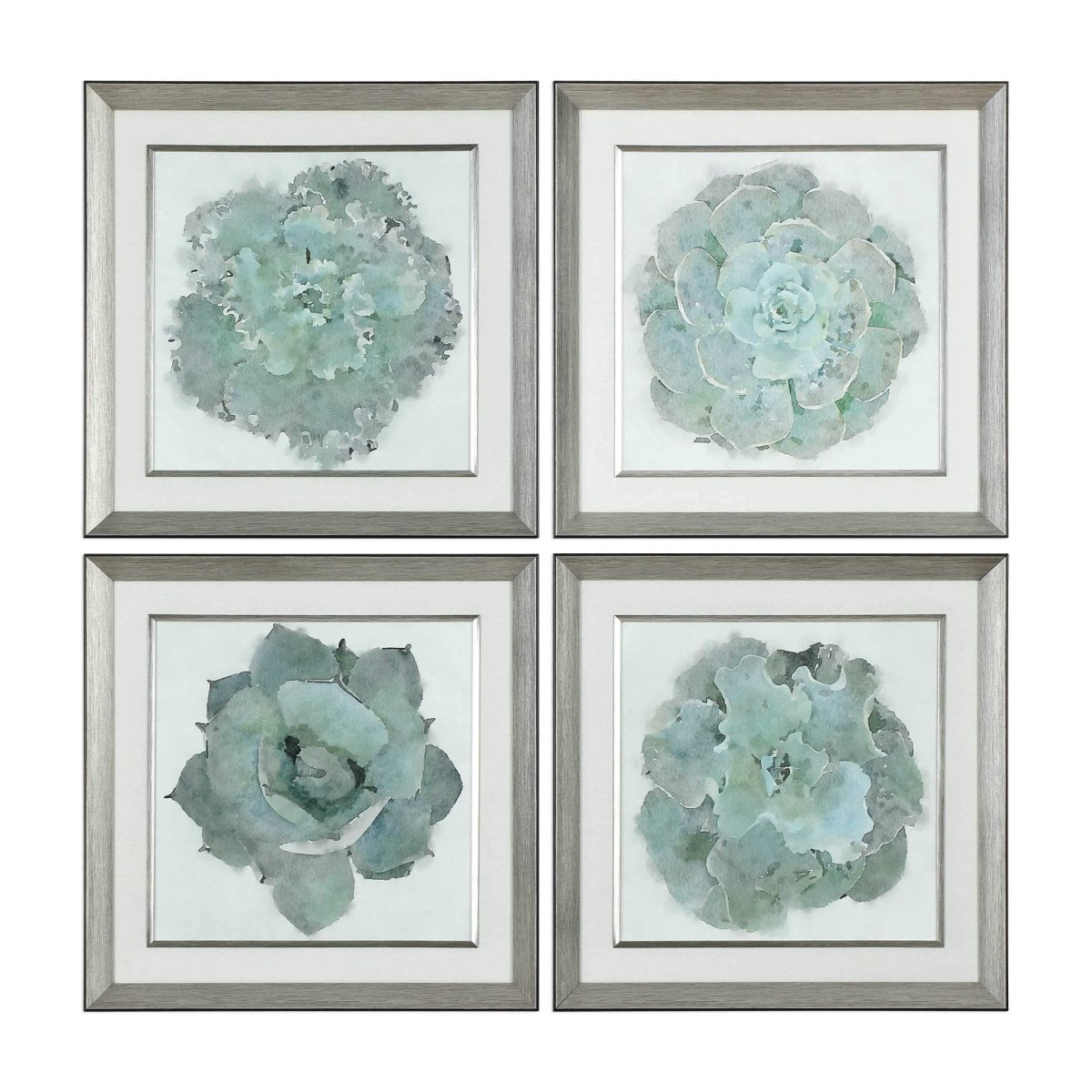 Succulent Framed Prints (S/2) - Uttermost - Framed Prints by Modest Hut
