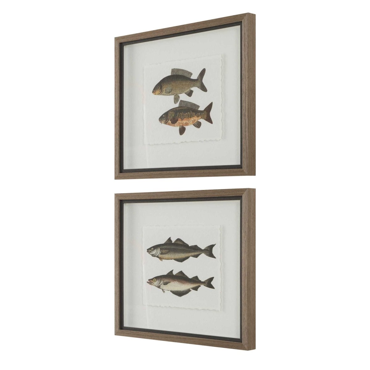 The Catch Framed Fish Prints Set/2 - Uttermost - Framed Prints by Modest Hut