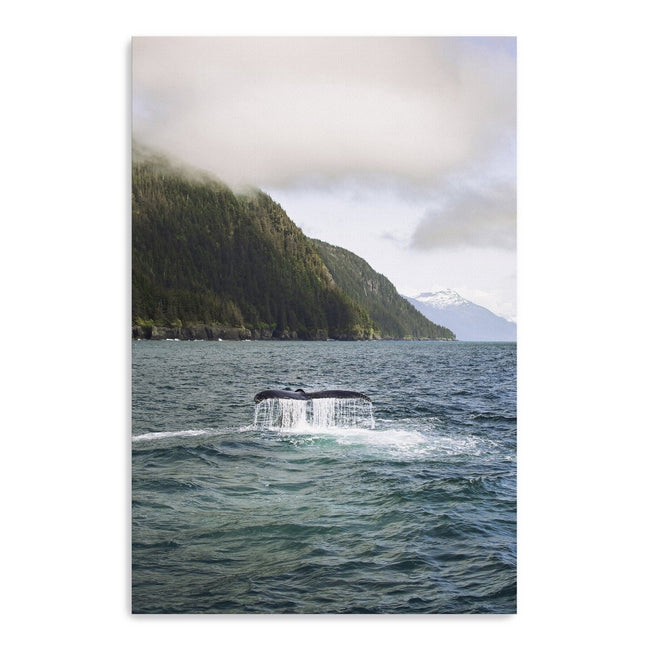 Humpback in Valdez Canvas Wall Art - Lumaprints - Gallery Canvas by Modest Hut