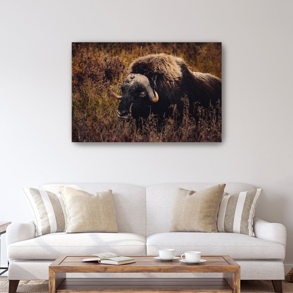 Musk Ox in the Arctic Canvas Wall Art - Lumaprints - Gallery Canvas by Modest Hut