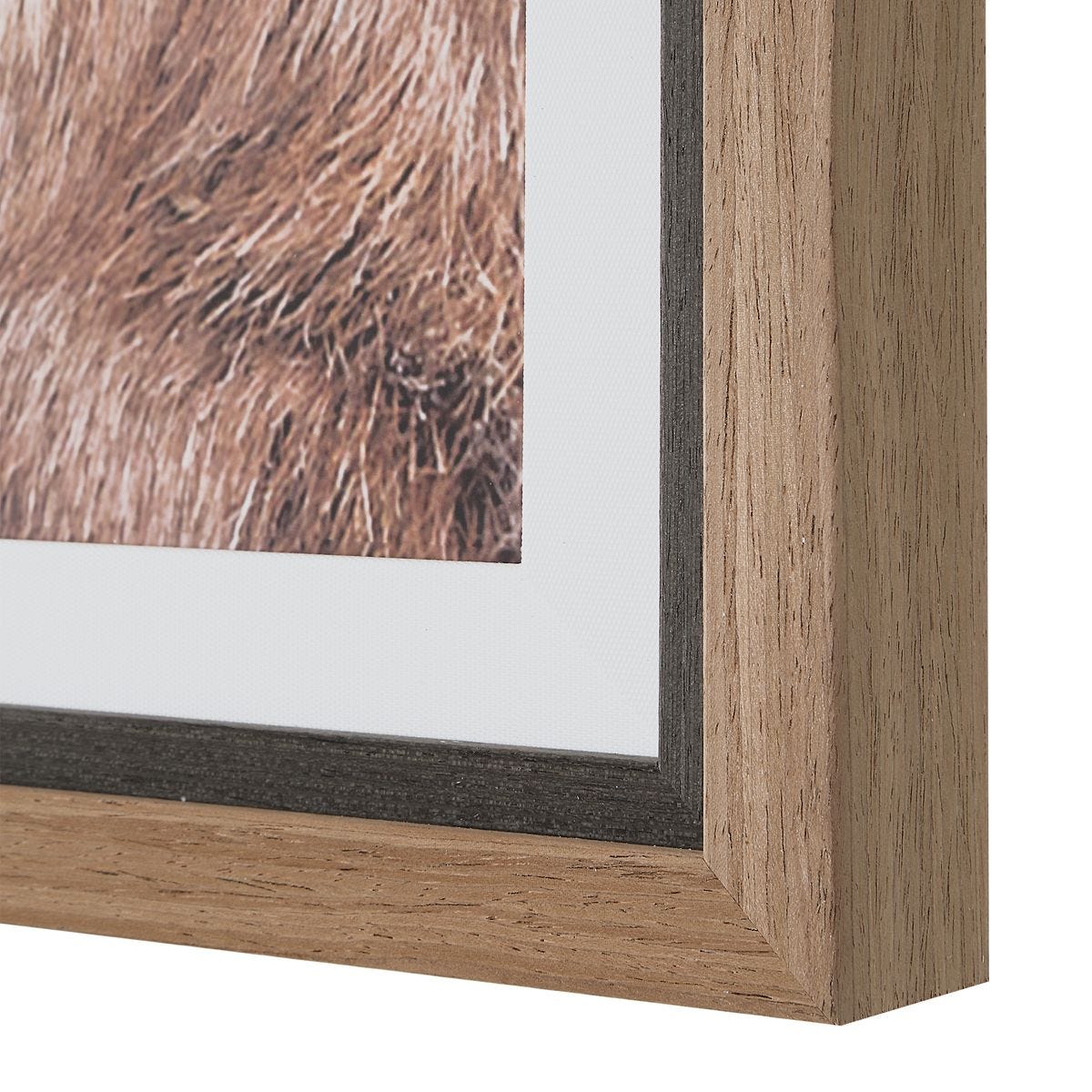 Close-up of the Big Horn Walnut Framed Print print image 7