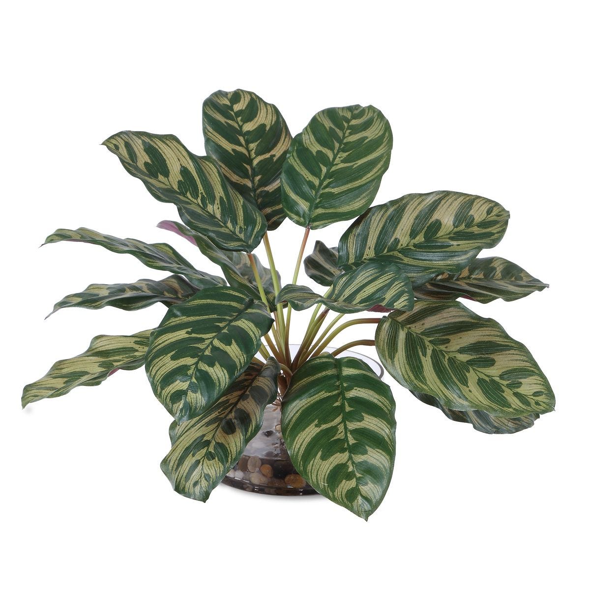 Alternate angle of the Peacock Plant Glass Accent by Uttermost