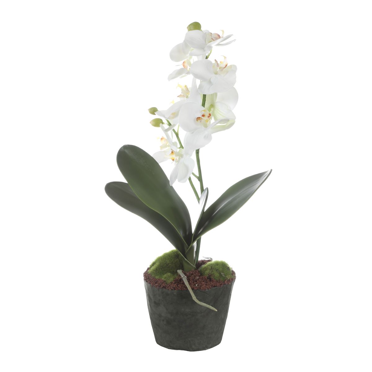Laris White Orchid Drop-In by Uttermost