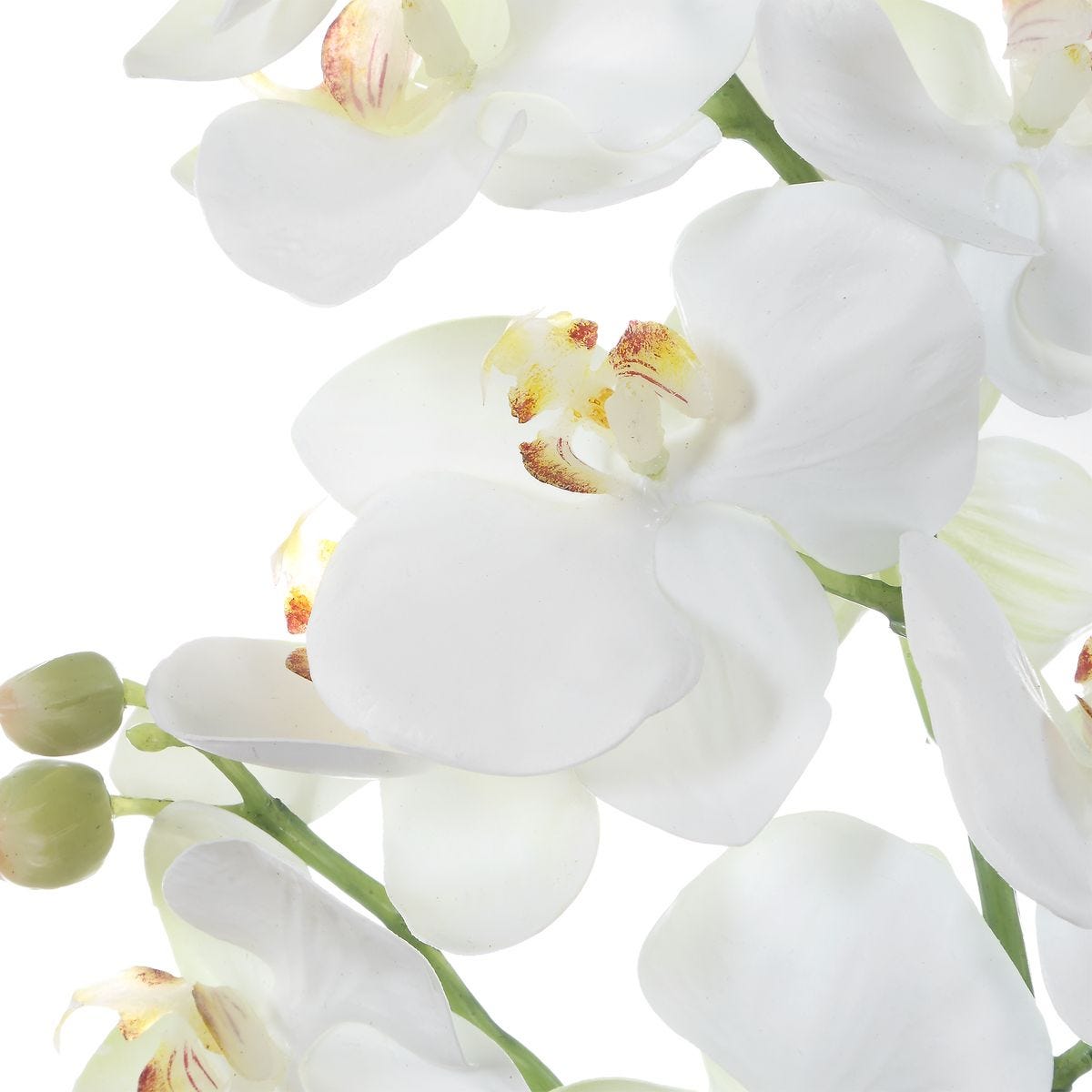 Detail view of the container detail on the Laris White Orchid Drop-In