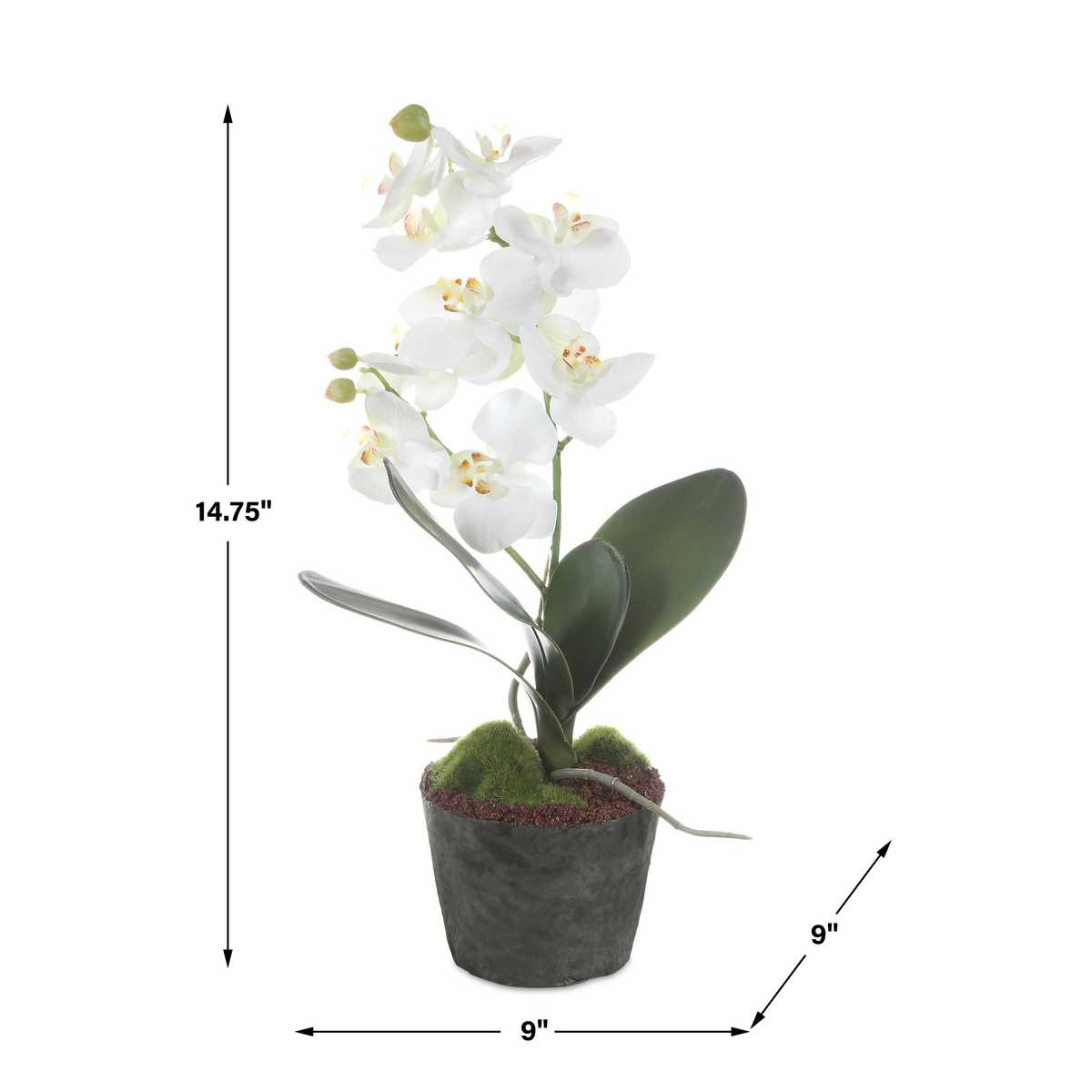 Dimension guide for the Laris White Orchid Drop-In