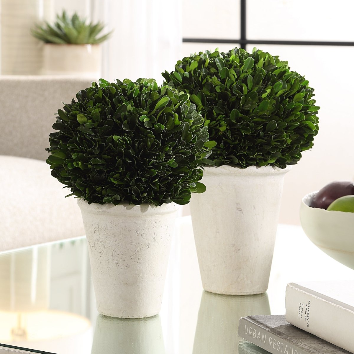 Preserved Boxwood Domes Set/2 - Uttermost - Planter by Modest Hut