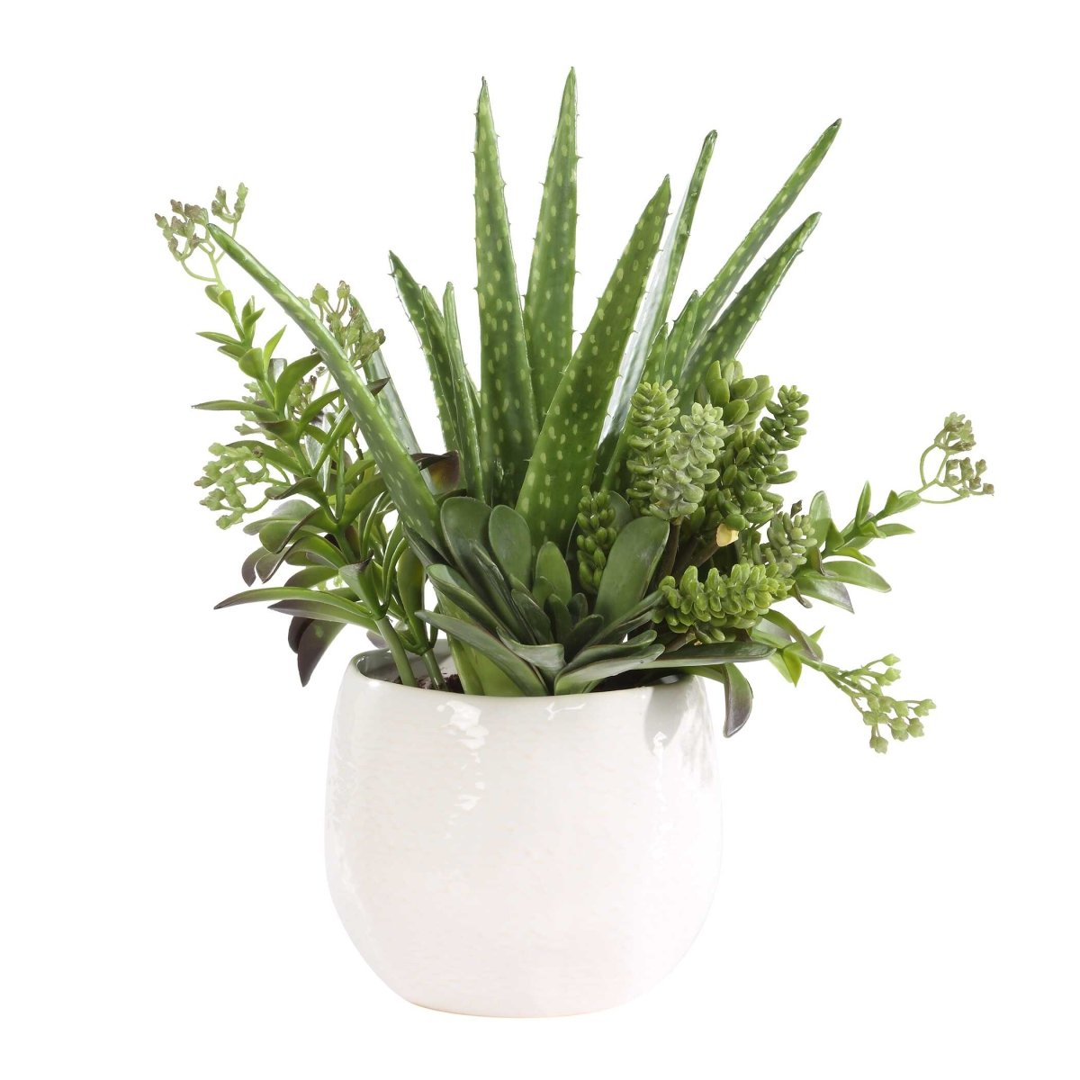 Sundown Succulent Accent Planter - Uttermost - Planter by Modest Hut